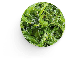 menu item, toppings, seaweed salad